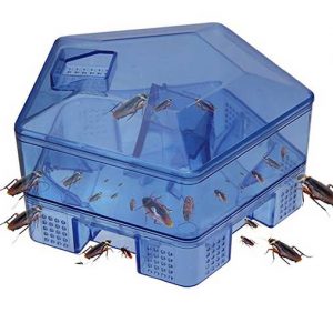 Cockroach Trap