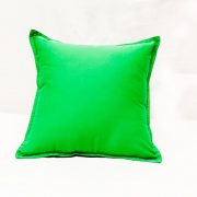 Washable Soft Cushion Green
