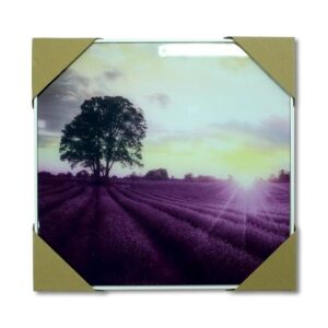 40x40 Framed Print-Landscapes (LINO825)