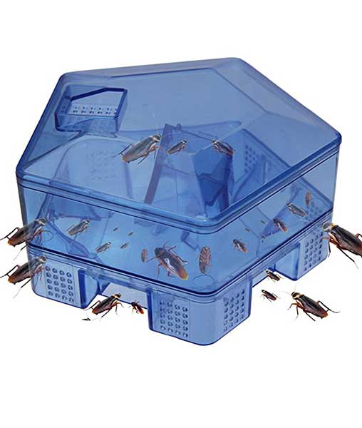 Cockroach Trap
